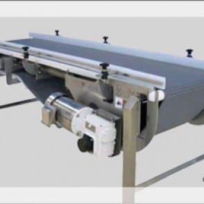 Nextgen Sanitary Conveyors image 2