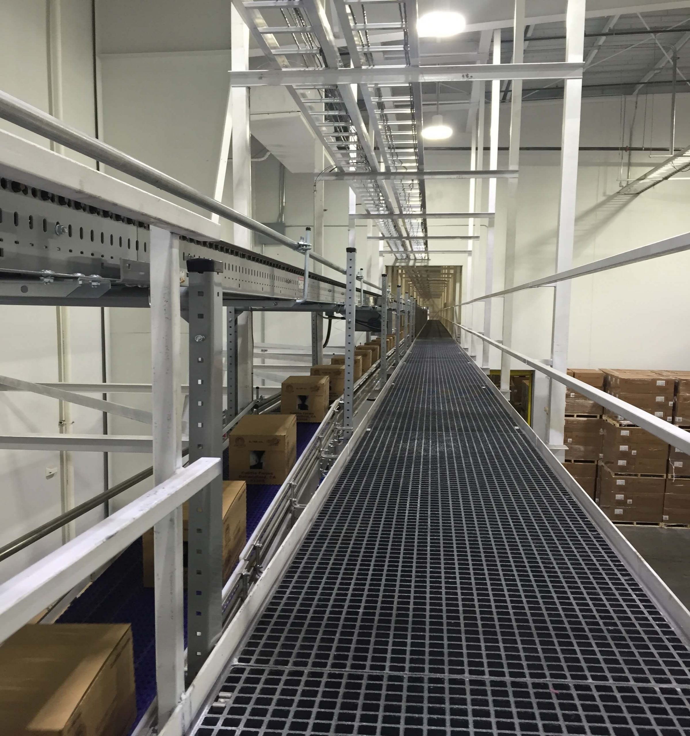 Case Conveyor, Carton Conveyor, Tote Conveyor