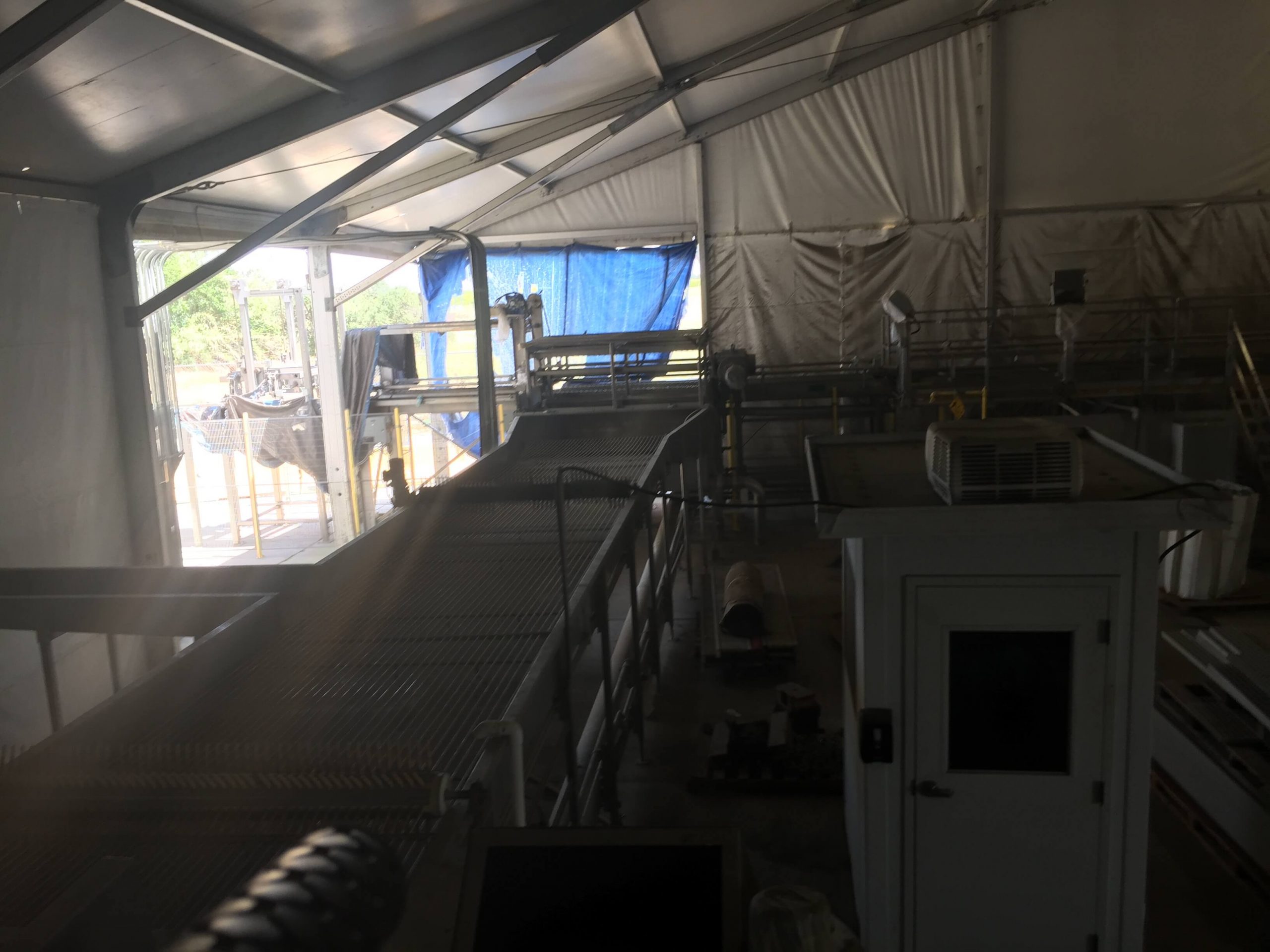 MAF RODA Presorting and Packing Line for Round Fruit image 18