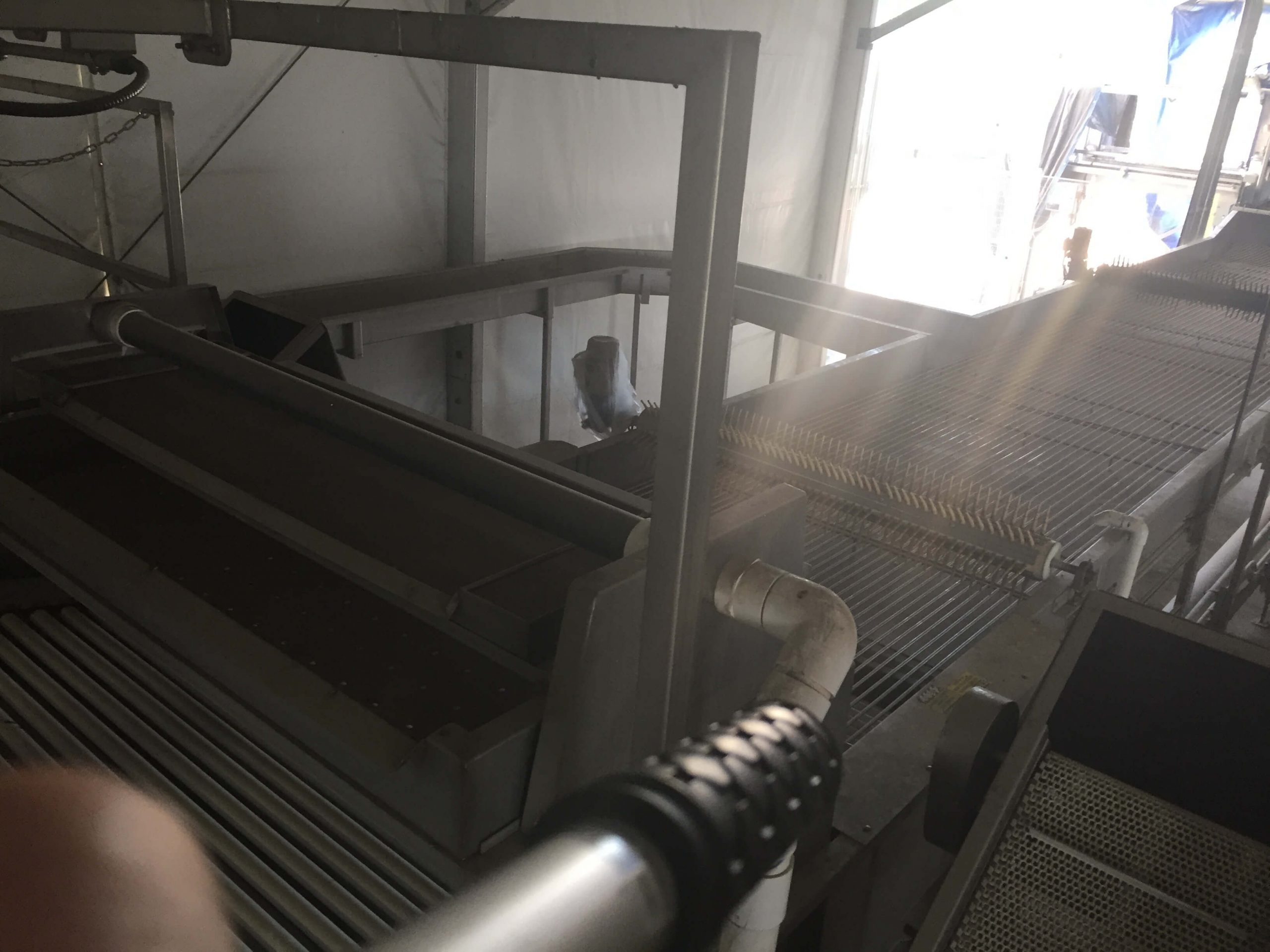 MAF RODA Presorting and Packing Line for Round Fruit image 16