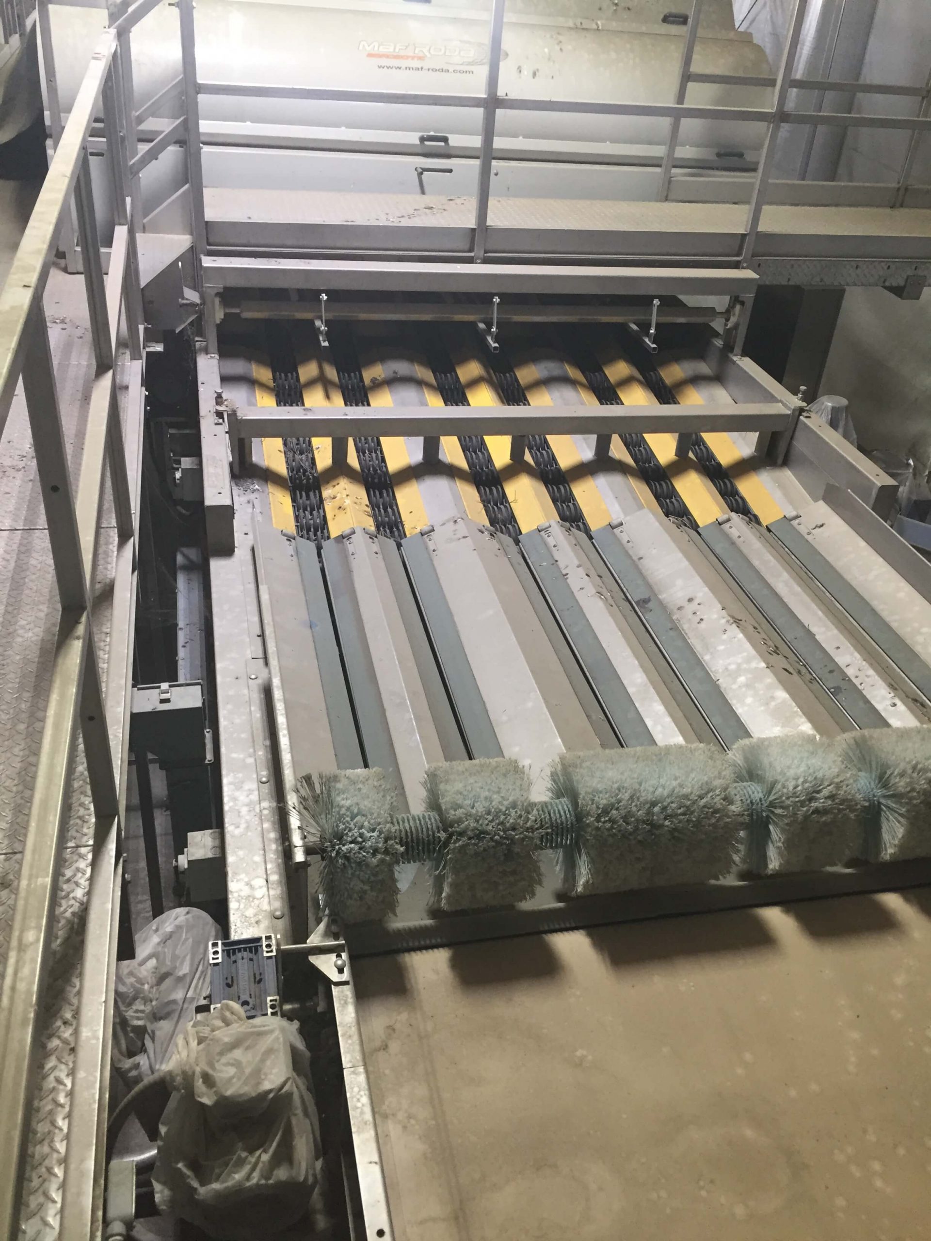MAF RODA Presorting and Packing Line for Round Fruit image 11