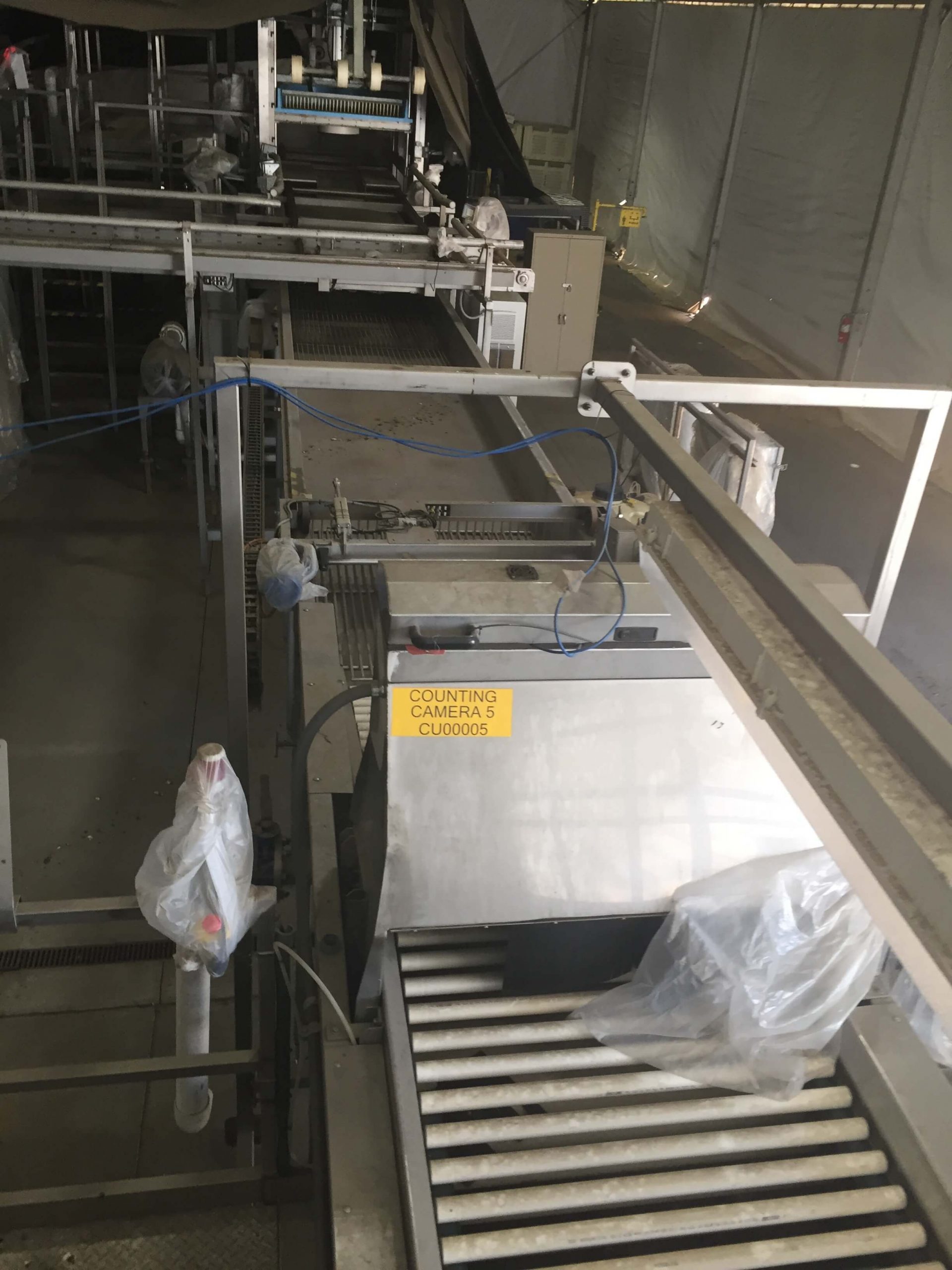 MAF RODA Presorting and Packing Line for Round Fruit image 13