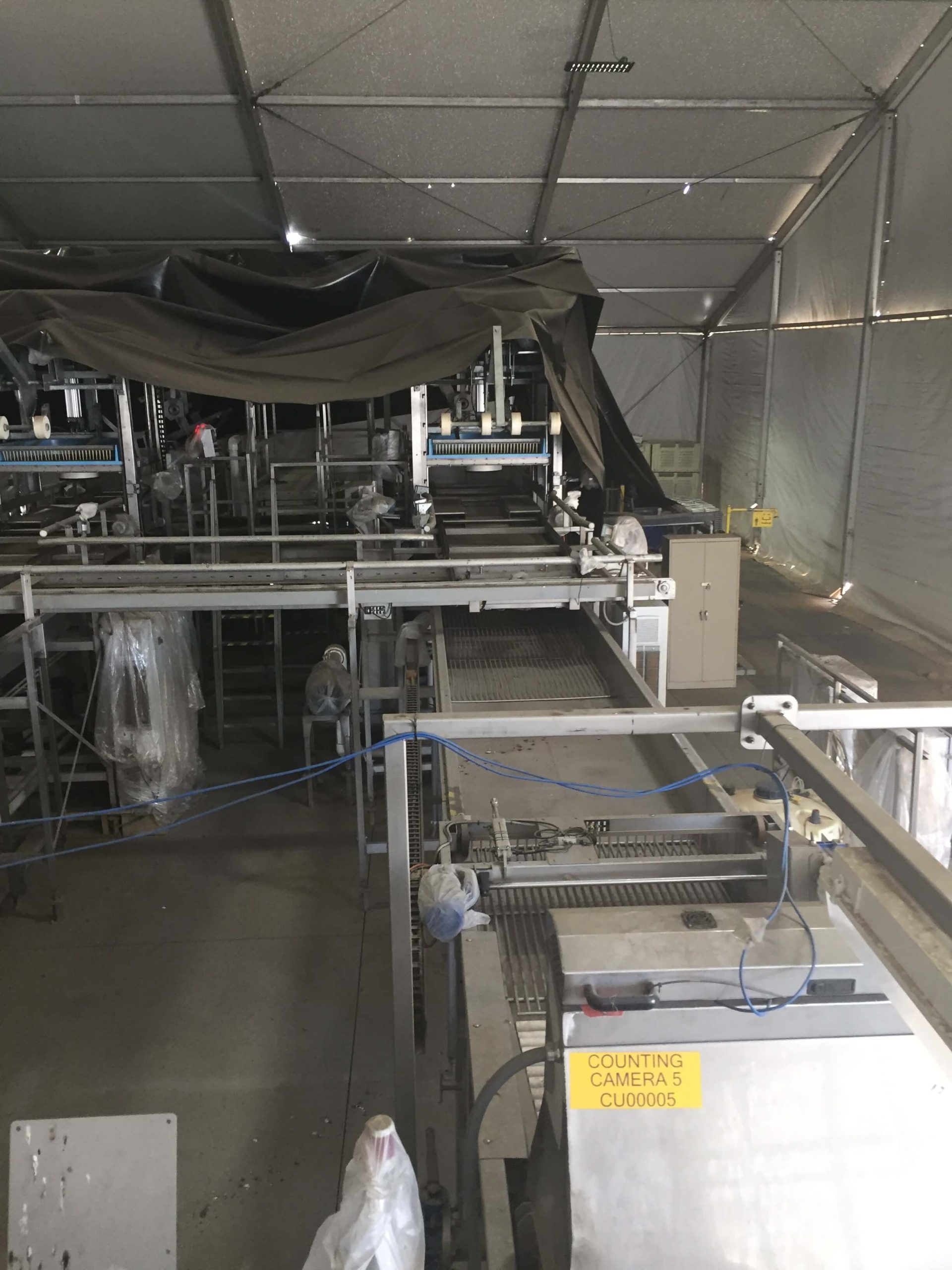 MAF RODA Presorting and Packing Line for Round Fruit image 12