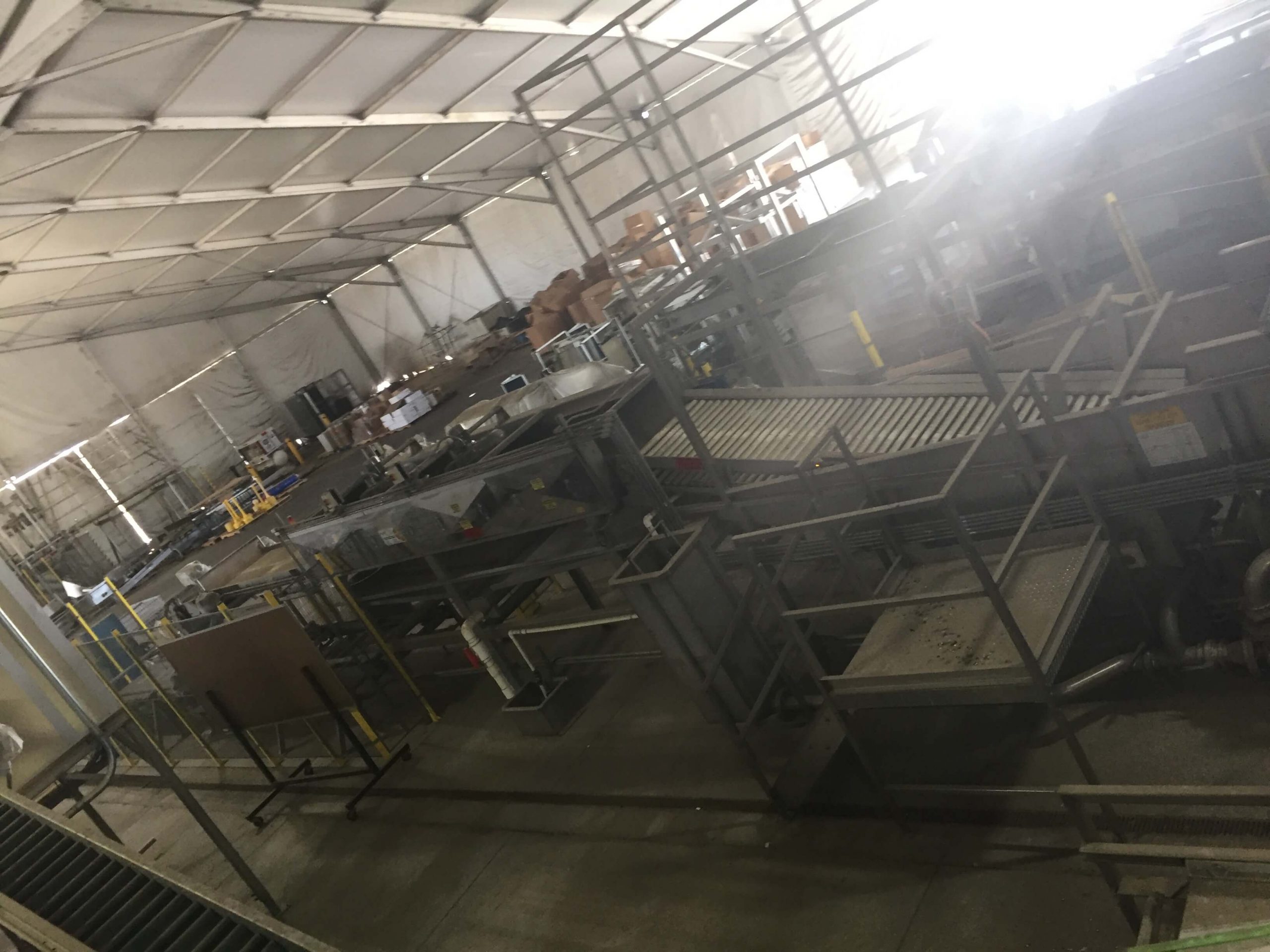 MAF RODA Presorting and Packing Line for Round Fruit image 10