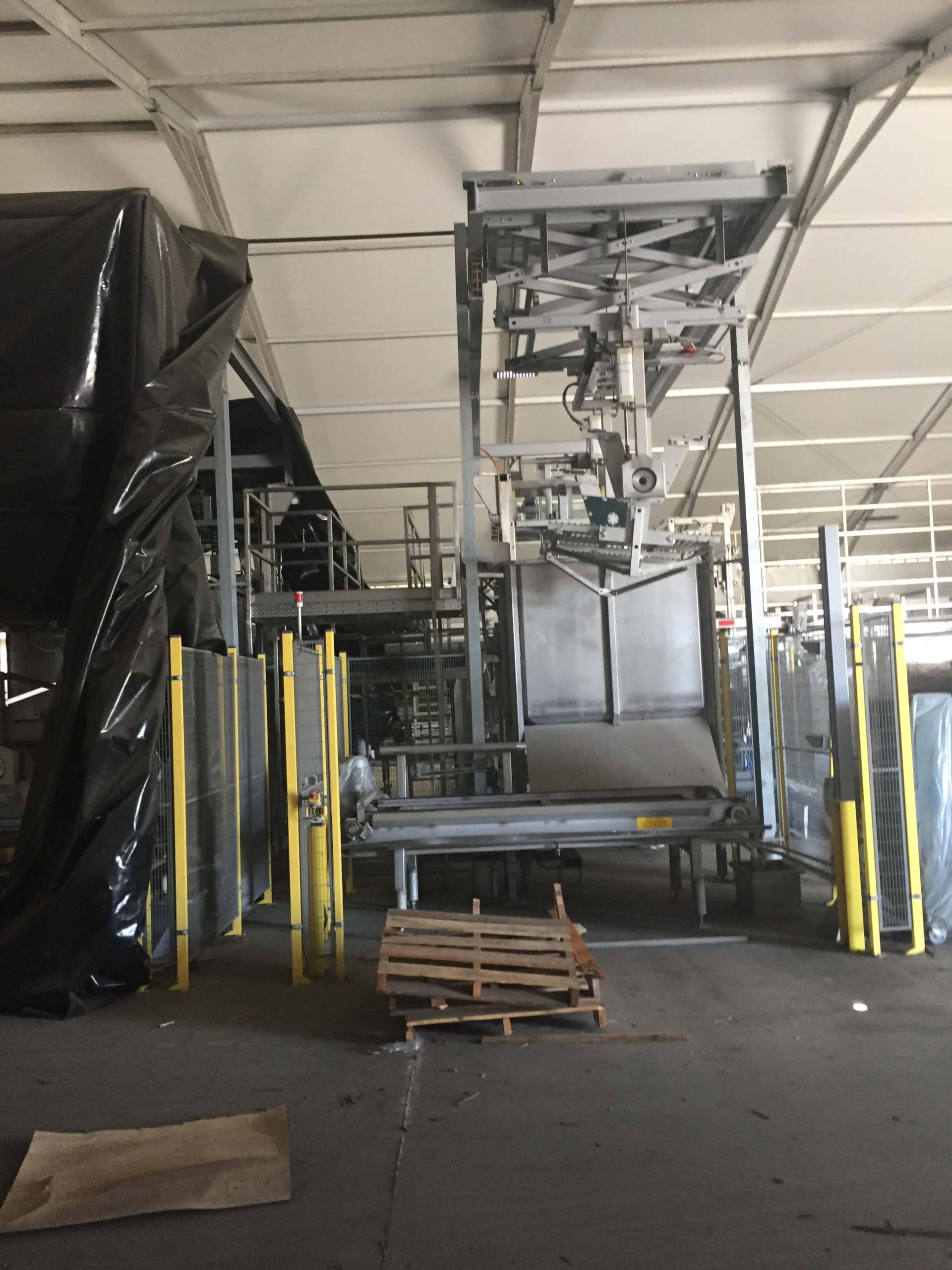 MAF RODA Presorting and Packing Line for Round Fruit image 5