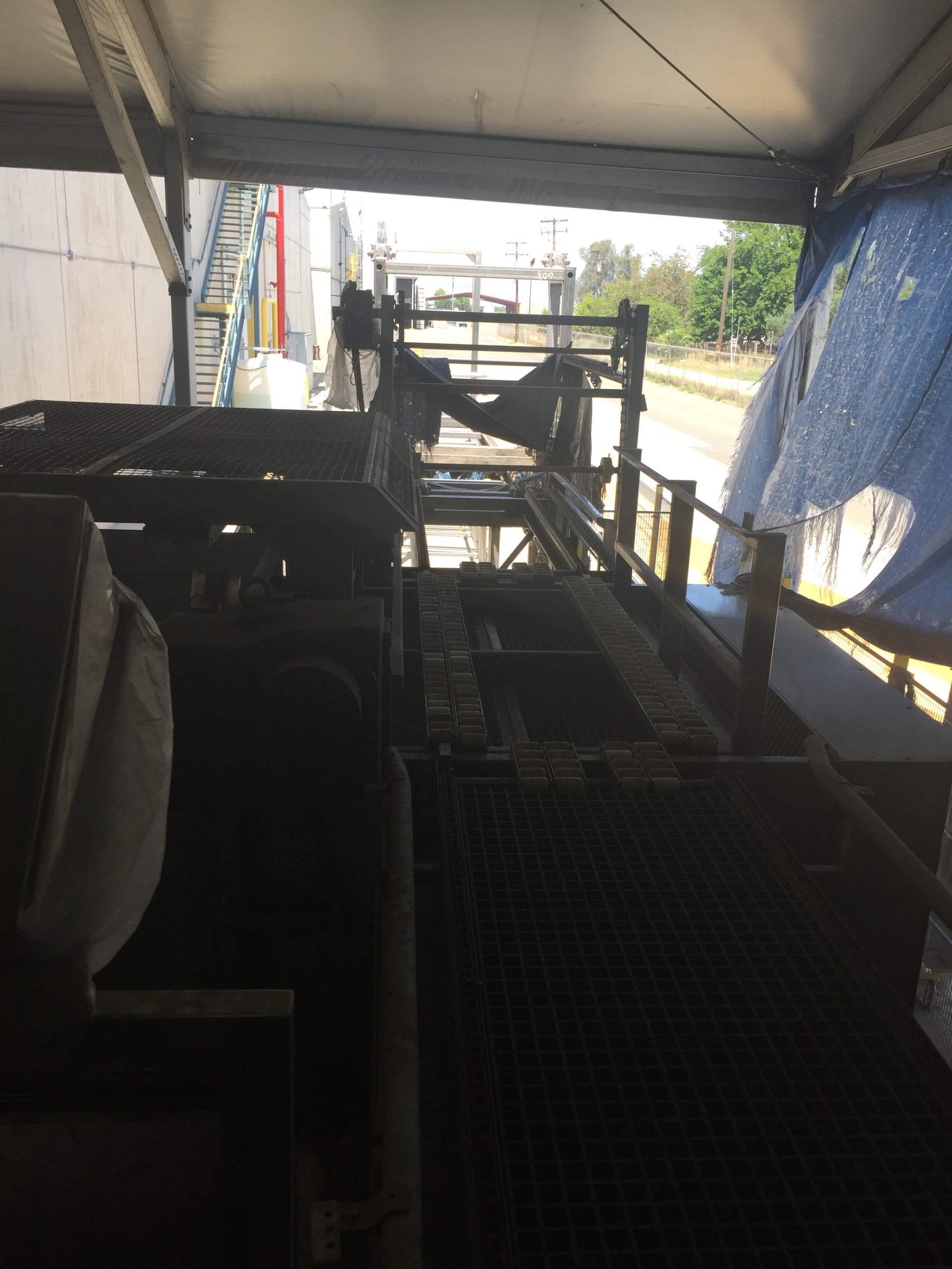 MAF RODA Presorting and Packing Line for Round Fruit image 3